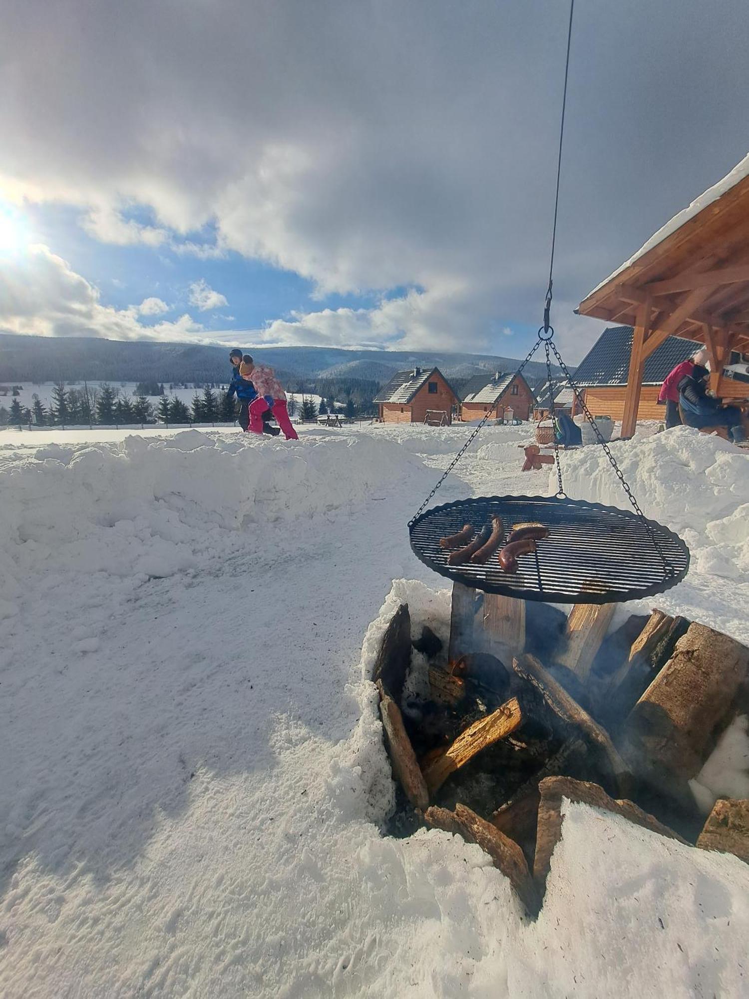 Osada Orlica Klimatyczne Domki Z Widokiem Na Gory I Termalnym Spa Sauna Jacuzzi 4 Km Od Zieleniec Ski Arena Lasowka Eksteriør bilde